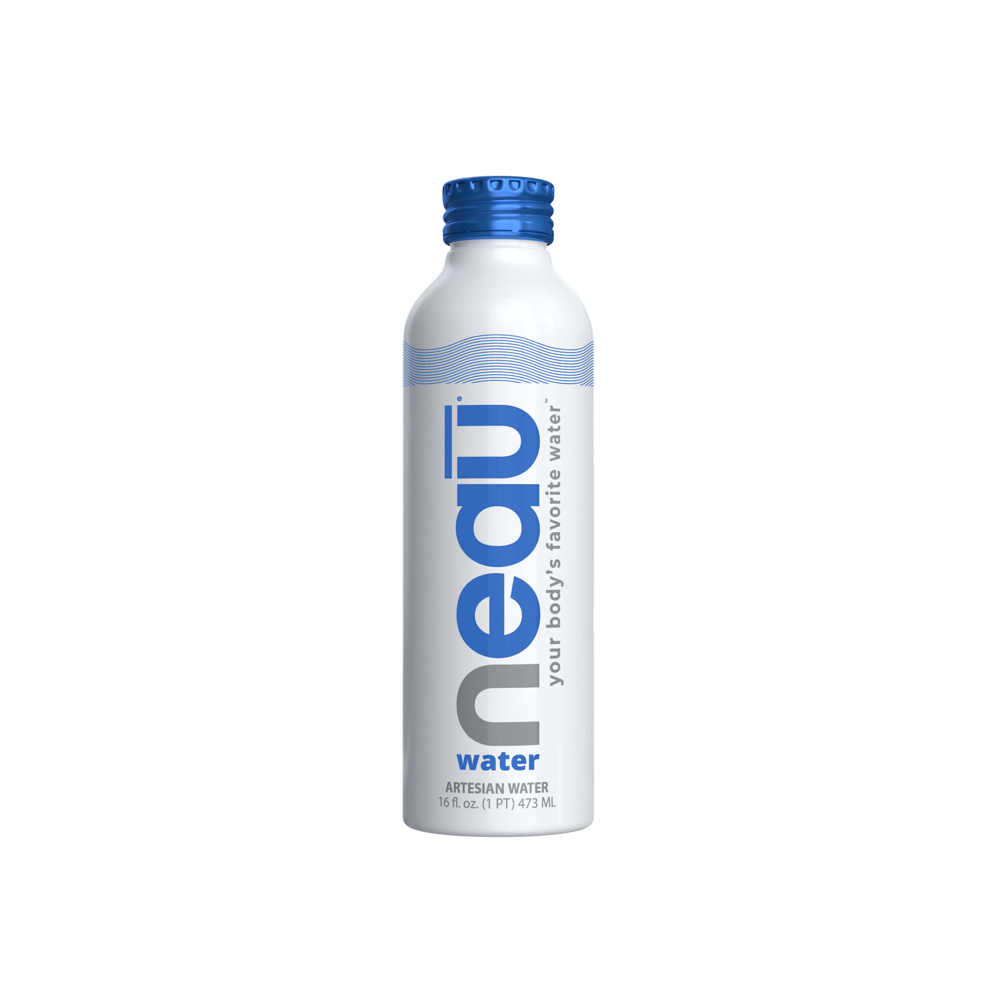 16 fl oz aluminum bottle